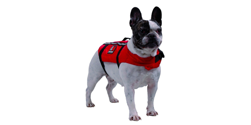 Quel est le meilleur gilet de sauvetage pour chien ?